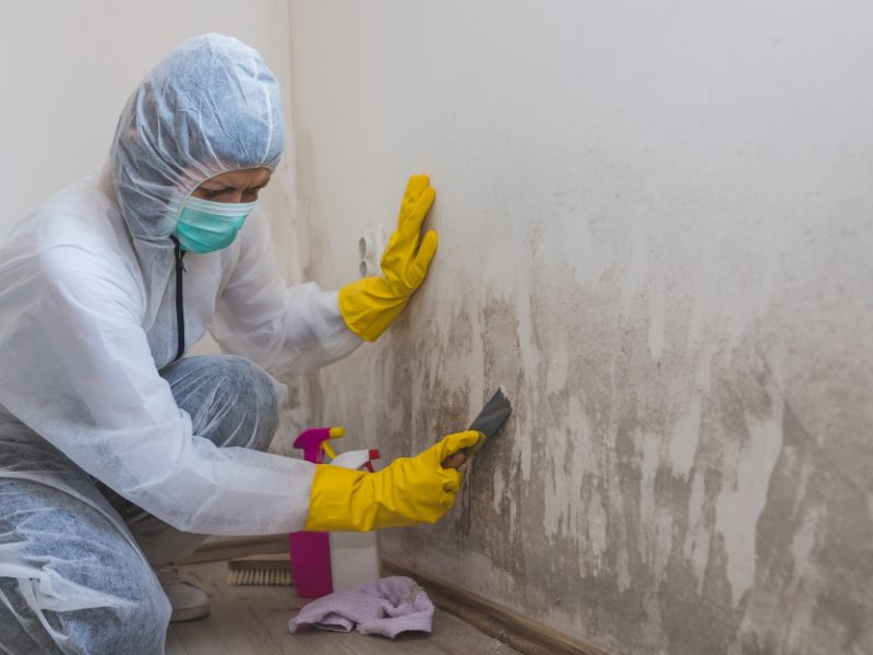 247 Emergency Mold Remediation in Orlando, FL