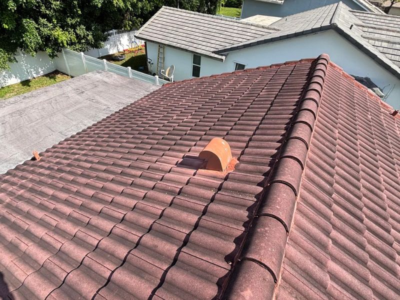 Bring Your Roof Back to Life with Safe Soft Washing