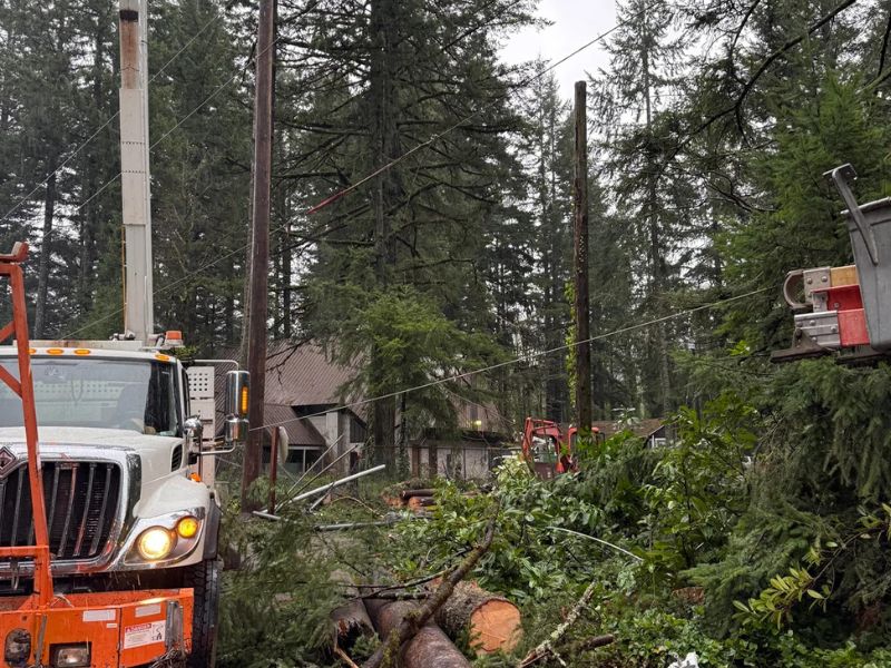 Emergency Storm Cleanup, Repair & Restoration Services