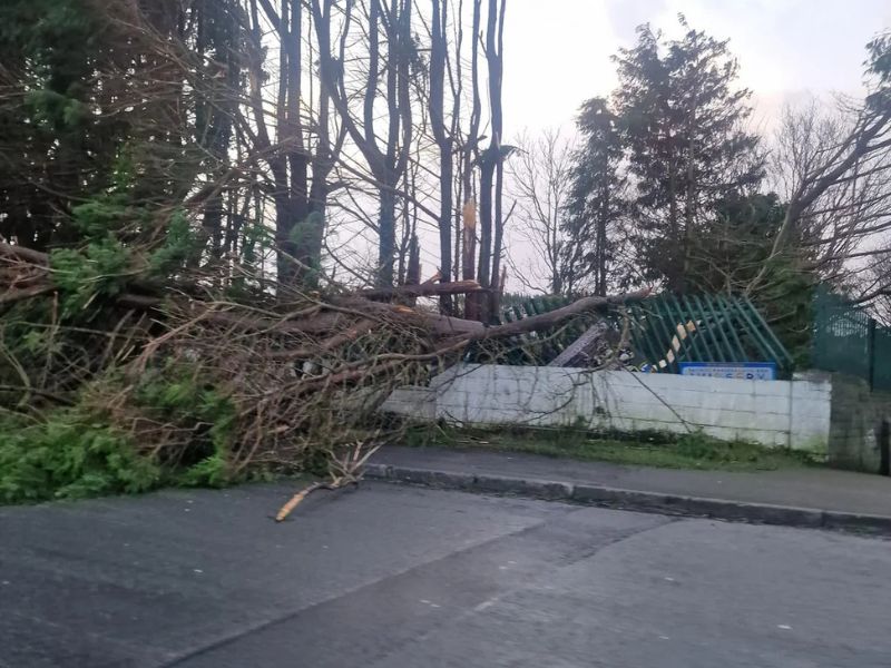 Emergency Storm Damage Restoration Orlando FL – Fast Response 24/7