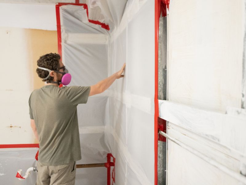 Fast Mold Remediation & Safe Mold Removal Services