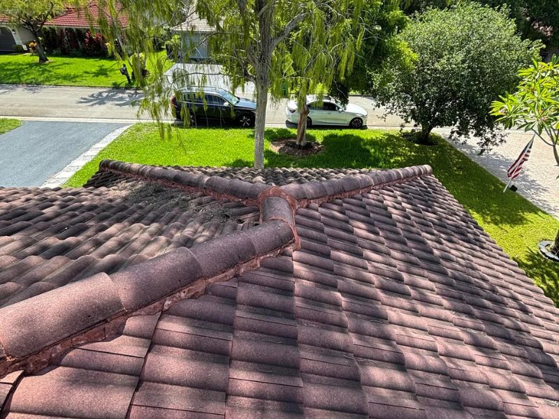 Gentle Roof Cleaning That Protects & Restores Your Roof