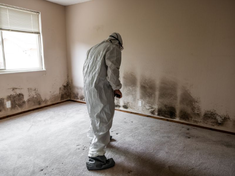 Mold Remediation Orlando FL