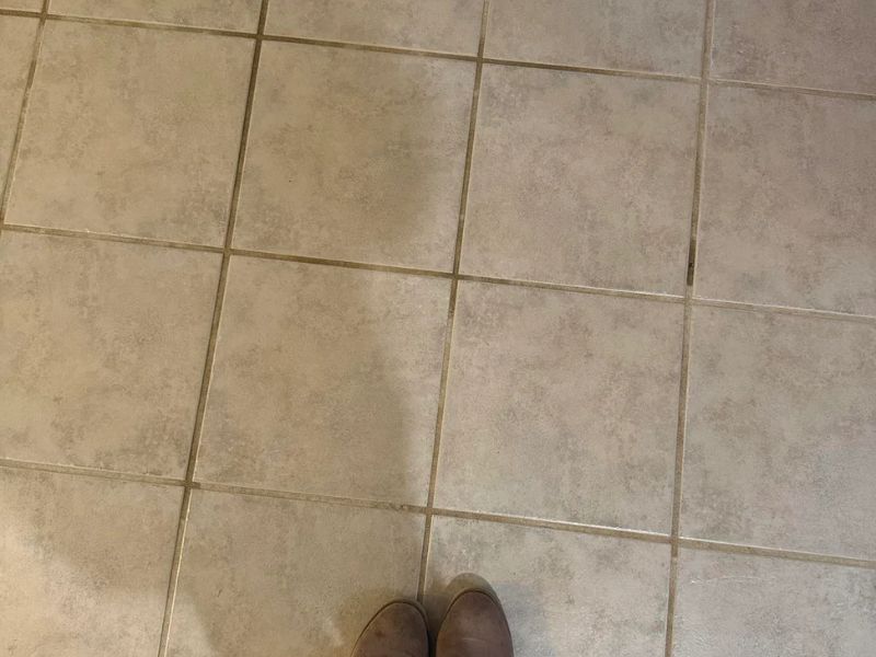 Restore Your Floors with Professional Tile & Grout Cleaning