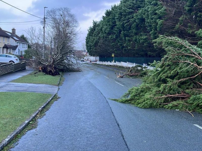 Storm Cleanup & Repair Orlando FL Water, Roof & Debris Removal