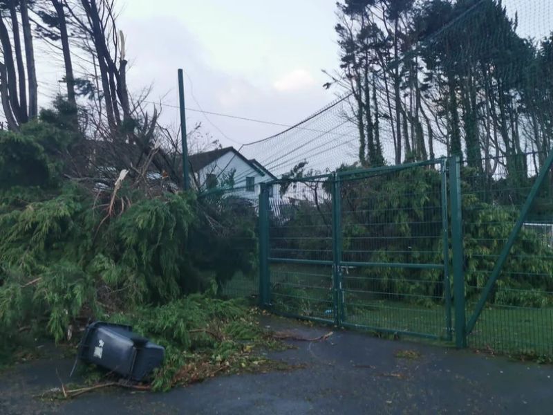 Storm Damage Restoration Orlando FL | 24/7 Emergency Cleanup