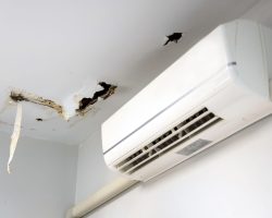 AC condensate leak water damage Orlando