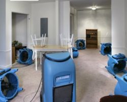 hidden water damage signs